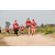 Team 108 / Raid Amazones Cambodge 2018 - J6 Trek