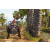 Raid Amazones Sri Lanka 2018