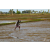 Raid Amazones Sri Lanka 2018