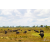 Raid Amazones Sri Lanka 2018