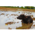 Raid Amazones Sri Lanka 2018