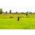 Raid Amazones Sri Lanka 2018