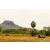 Raid Amazones Sri Lanka 2018