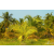 Raid Amazones Sri Lanka 2018