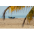 Raid Amazones Sri Lanka 2018