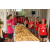 Raid Amazones Sri Lanka 2018