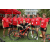 Raid Amazones Sri Lanka 2018