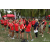 Raid Amazones Sri Lanka 2018