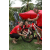 Raid Amazones Sri Lanka 2018