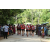 Team 14 / Raid Amazones Sri Lanka 2018 - J1 Trail