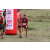 Team 50 / Raid Amazones Sri Lanka 2018 - J1 Trail