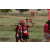 Team 40 / Raid Amazones Sri Lanka 2018 - J1 Trail