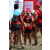 Team 18 / Raid Amazones Sri Lanka 2018 - J1 Trail