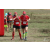 Team 46 / Raid Amazones Sri Lanka 2018 - J1 Trail
