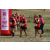 Team 102 / Raid Amazones Sri Lanka 2018 - J1 Trail