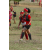 Team 20 / Raid Amazones Sri Lanka 2018 - J1 Trail