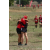 Team 43 / Raid Amazones Sri Lanka 2018 - J1 Trail