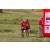 Team 12 / Raid Amazones Sri Lanka 2018 - J1 Trail