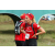 Team 45 / Raid Amazones Sri Lanka 2018 - J1 Trail