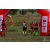 Team 08 / Raid Amazones Sri Lanka 2018 - J1 Trail