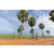 Raid Amazones Sri Lanka 2018 - J1 Trail