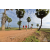 Raid Amazones Sri Lanka 2018 - J1 Trail