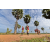 Team 02 / Raid Amazones Sri Lanka 2018 - J1 Trail