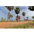 Team 102 / Raid Amazones Sri Lanka 2018 - J1 Trail