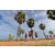 Team 103 / Raid Amazones Sri Lanka 2018 - J1 Trail