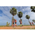 Team 103 / Raid Amazones Sri Lanka 2018 - J1 Trail