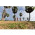 Team 103 / Raid Amazones Sri Lanka 2018 - J1 Trail