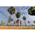 Team 103 / Raid Amazones Sri Lanka 2018 - J1 Trail