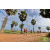 Team 104 / Raid Amazones Sri Lanka 2018 - J1 Trail