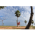 Team 112 / Raid Amazones Sri Lanka 2018 - J1 Trail