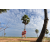 Team 112 / Raid Amazones Sri Lanka 2018 - J1 Trail
