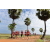 Team 104 / Raid Amazones Sri Lanka 2018 - J1 Trail