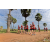 Team 104 / Raid Amazones Sri Lanka 2018 - J1 Trail