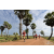 Team 111 / Raid Amazones Sri Lanka 2018 - J1 Trail
