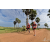 Team 111 / Raid Amazones Sri Lanka 2018 - J1 Trail