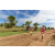 Team 02 / Raid Amazones Sri Lanka 2018 - J1 Trail