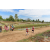 Team 110 / Raid Amazones Sri Lanka 2018 - J1 Trail
