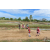 Team 110 / Raid Amazones Sri Lanka 2018 - J1 Trail