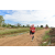 Team 45 / Raid Amazones Sri Lanka 2018 - J1 Trail