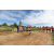 Team 103 / Raid Amazones Sri Lanka 2018 - J1 Trail