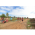 Team 145 / Raid Amazones Sri Lanka 2018 - J1 Trail