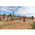Team 34 / Raid Amazones Sri Lanka 2018 - J1 Trail
