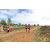 Team 40 / Raid Amazones Sri Lanka 2018 - J1 Trail