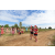 Team 40 / Raid Amazones Sri Lanka 2018 - J1 Trail