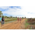 Team 33 / Raid Amazones Sri Lanka 2018 - J1 Trail