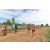 Team 33 / Raid Amazones Sri Lanka 2018 - J1 Trail